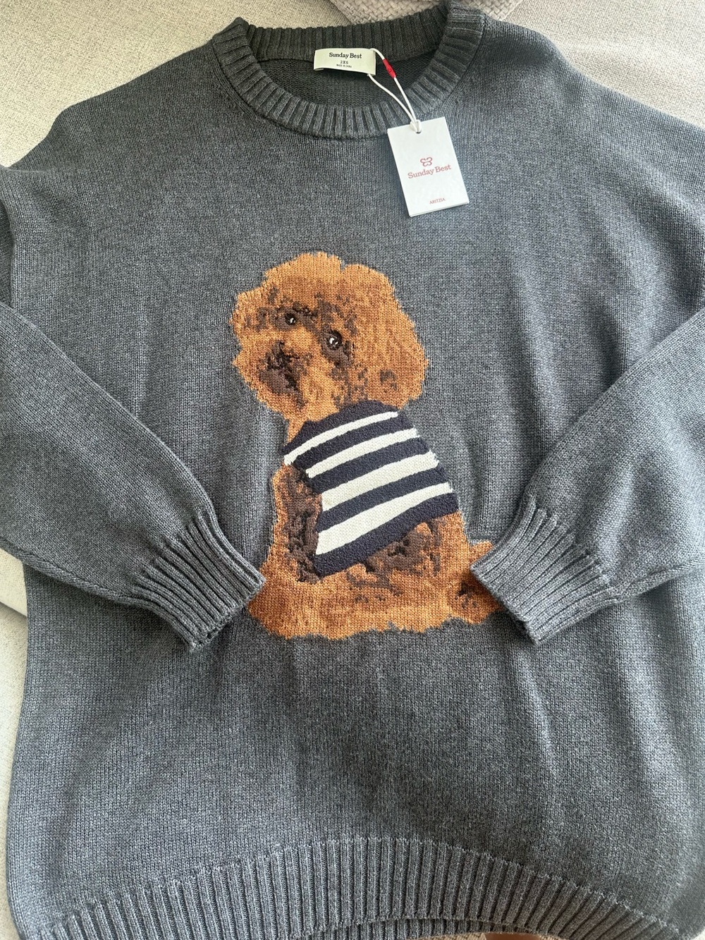 NWT Aritzia Sunday Best Fern (Peggy Icon) Dog Dark Grey Knit Sweater | Sz 2XS
